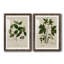Lin et feuilles I - ensemble de 2 reproductions d'art sur papier encadré-317519720-317519632