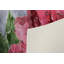 Tapis luxueux 100% polyester 5,2 x 7,5 pi, hauteur des poils de 0,4 po | Antibactérien, points antidérapants en PVC, lavable à la machine | Élégante impression numérique en 3D, parfaite pour le décor du salon et de la chambre à coucher-1078208826