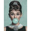 Elegant Audrey-Inspired Teal Bubblegum Canvas Wall Art-1478918310