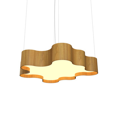 1 - Light LED Unique/Statement Pendant
