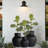 36'' Faux Fiddle Leaf Fig Branch-322091854
