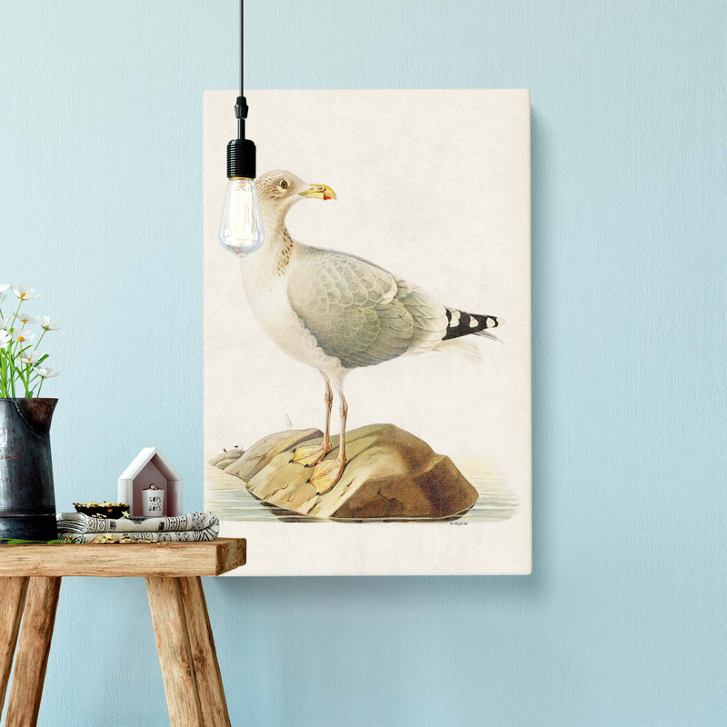 European Herring Gull by Von Wright - Wrapped Canvas Painting, 60cm H x 40cm W x 3cm D