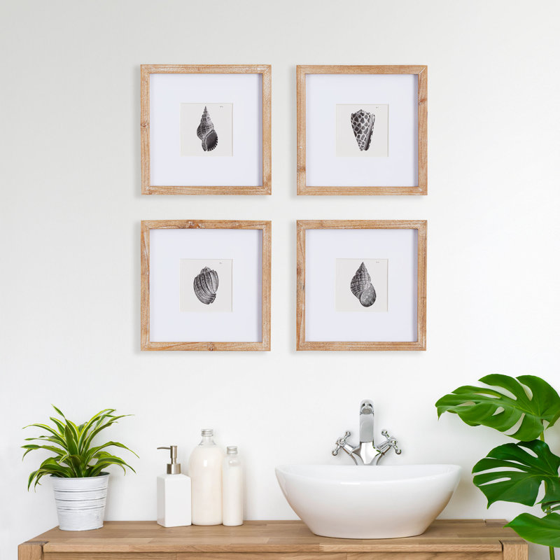 Hwan Seashell Petite - ensemble de 4 reproductions encadrées sur papier