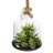 10'' Faux Succulent in Glass Jar