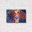 Red Barrel Studio «Dachshund - Bubbs» par Dawg Painter, art mural en métal-1281624832