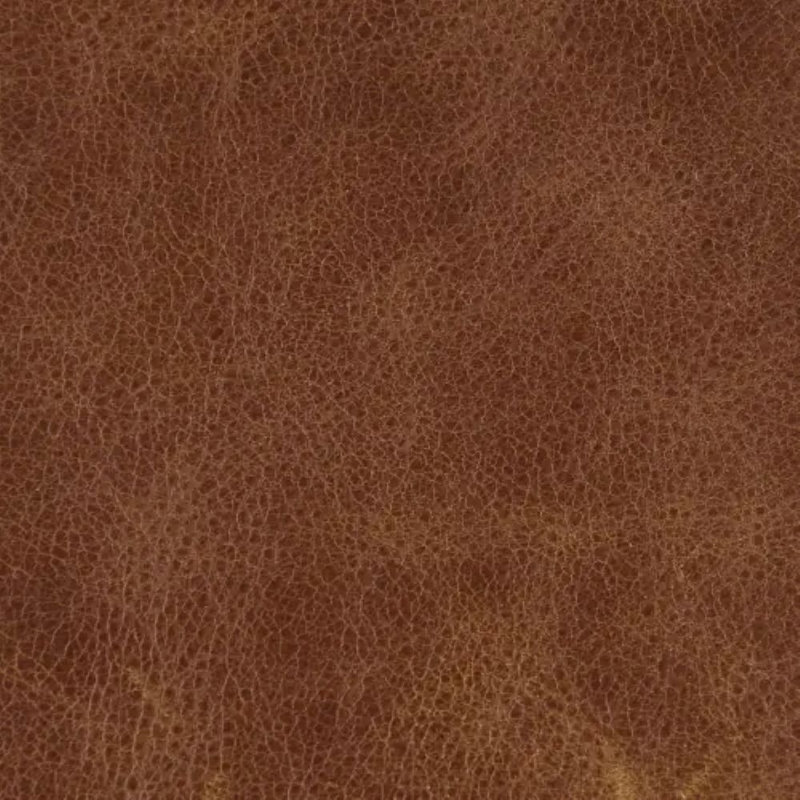 Becki Owens x Surya Gaviota Accent Chair, Brown Leather