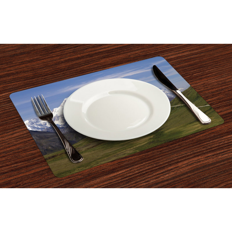Polyester Abstract Rectangle Placemat