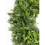 30" Artificial Boxwood Wreath