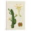 «Elegant Tropicals III», impression sur toile tendue-20834298-73150493-73150494
