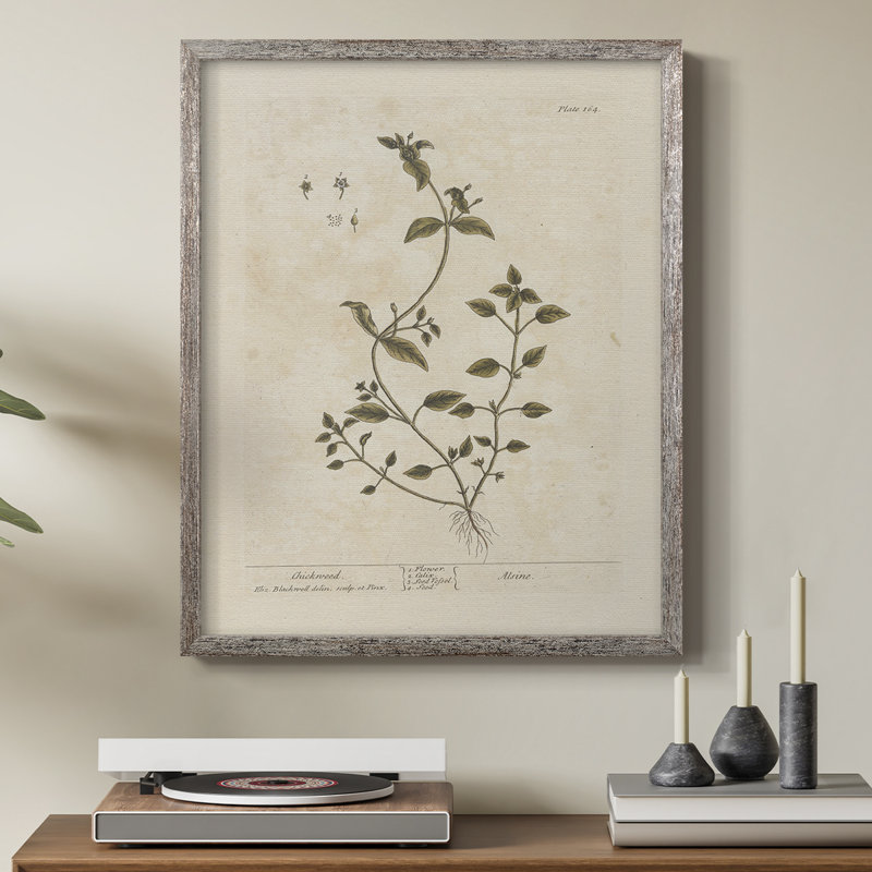 Impression florale vintage encadrée CLxxv - bois massif, H 21 po x l 17 po
