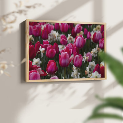 Looks like Spring -Framed Print - Restickable