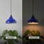 1 - Light Dome Pendant-1775399113