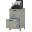 Classeur rustique gris clair avec 2 tiroirs-1519324508