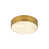 Rubbed Brass