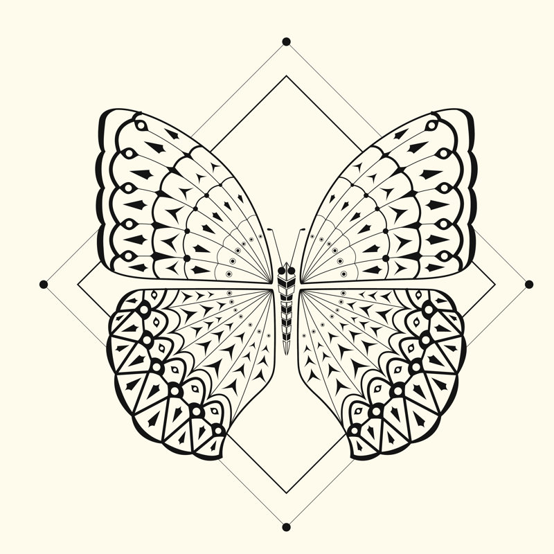 Butterfly - Wrapped Canvas Print, 51cm H x 51cm W x 3.8cm D