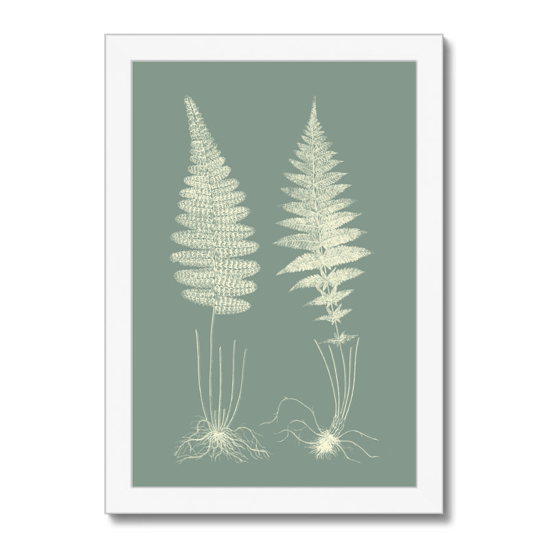 Ferns On Sage VI by Vision Studio - Painting, White Framed Paper Print, 50cm H x 34cm W
