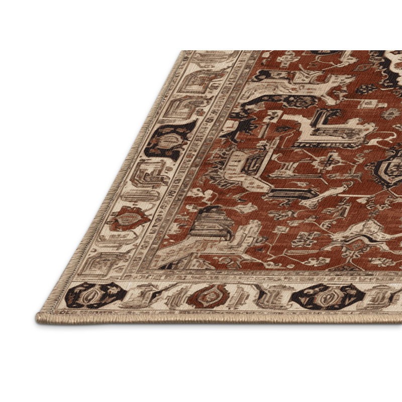 Tapis brun lavable à la machine, Rectangulaire 2 pi x 3 pi