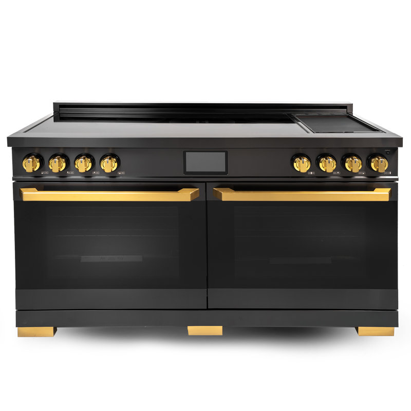 Cuisinière à induction 60 pouces Luxury Series avec plaque chauffante intégrée, édition ORION