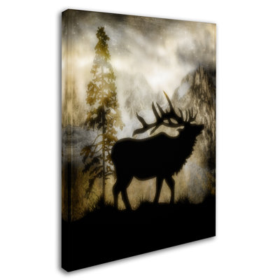 " Mystic Elk " by LightBoxJournal