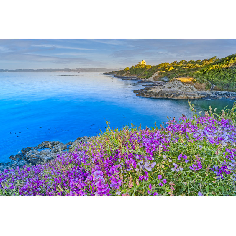 Victoria by Don White - Wrapped Canvas Print, 81cm H x 122cm W