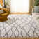 Triplett Fringe Shag Performance Abstract Rug