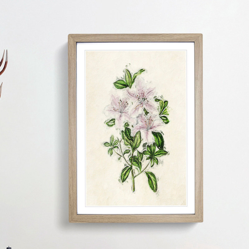Illustration of Pink Azaleas - Picture Frame Painting Print, Oak Framed, 65cm H x 48cm W x 2cm D