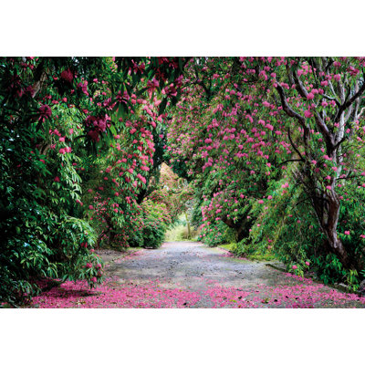 Borivoj Wicklow Park 2.54m x 368cm Wallpaper Roll