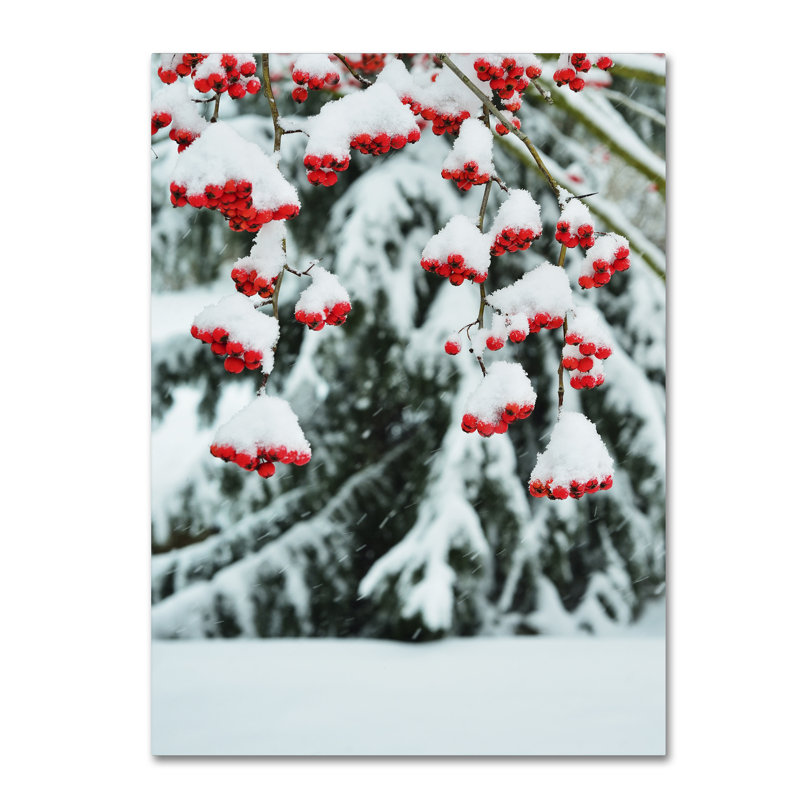 Winter Berries and Pine Snowy Canvas Art Print