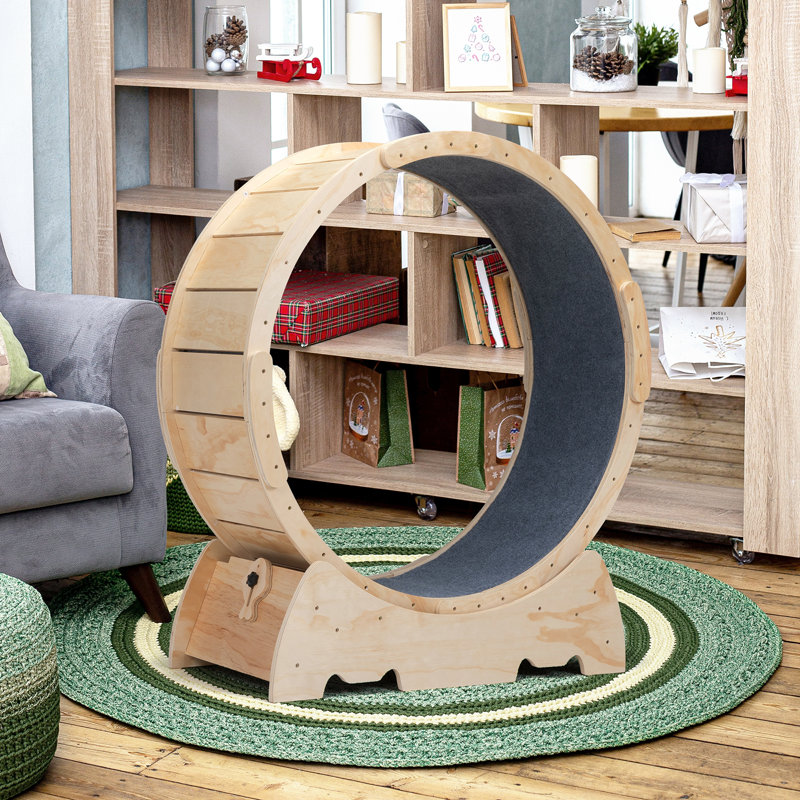 Grande roue de course pour chats d'intérieur