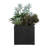  Greystone Indoor-Outdoor Succulent