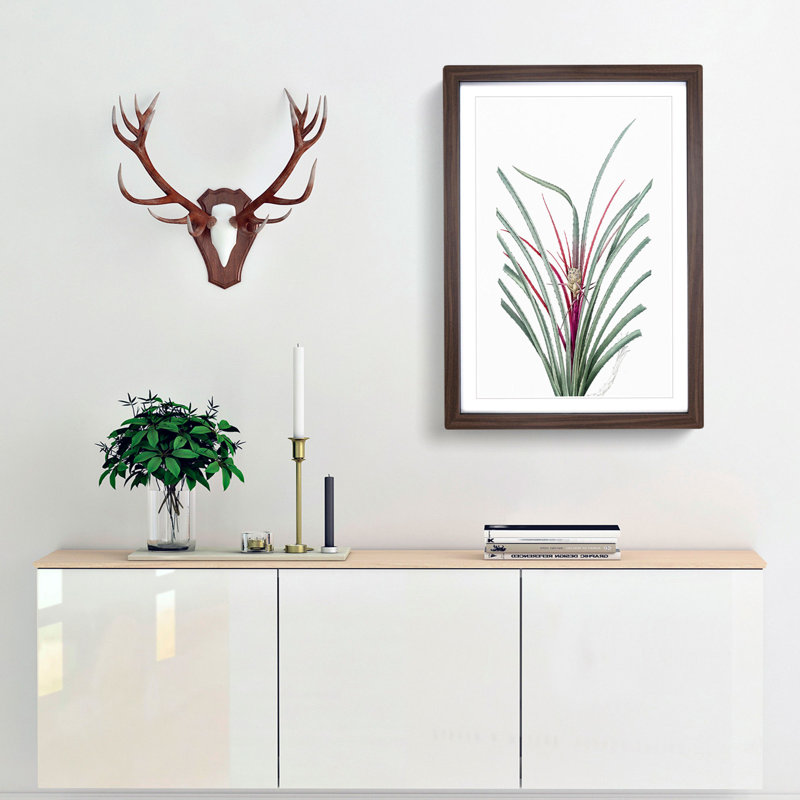 Plumier's Bromelia Flower by Pierre-Joseph Redoute - Picture Frame Painting Print, 36cm H x 27cm W x 2cm D, Walnut Framed