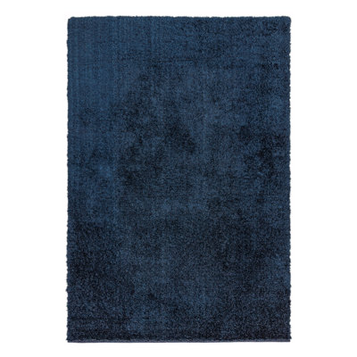 Natonia Shiny Shaggy Blue Area Rug