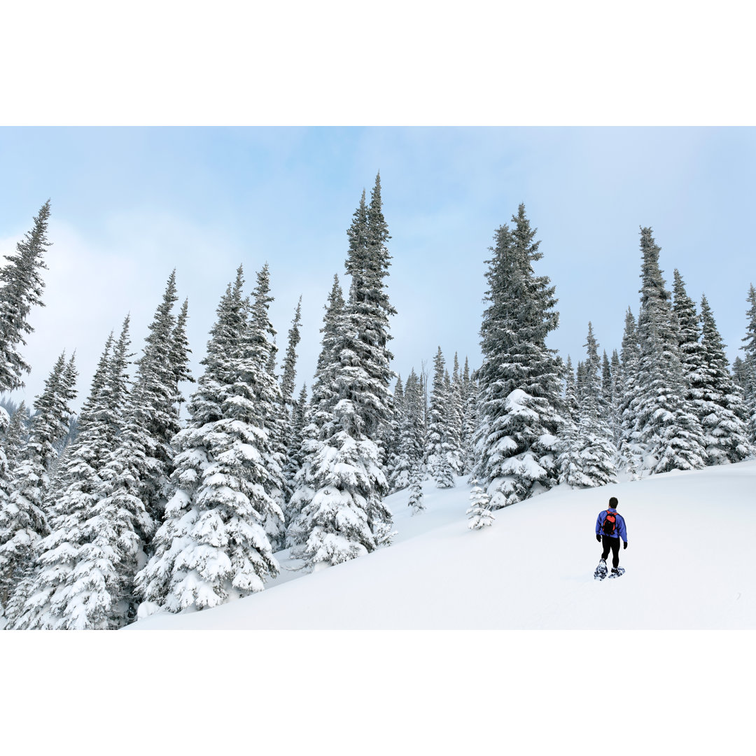 Mann beim Schneeschuhwandern