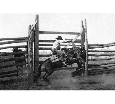 « bronco » par l.a. huffman-reproduction de photo