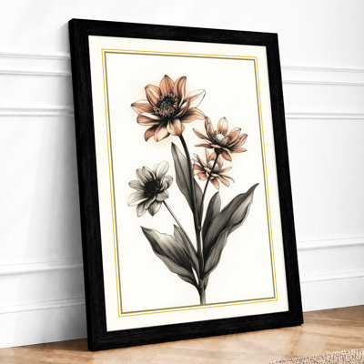 Study Botanical - Framed Print