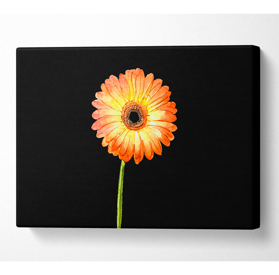 Orange Gerbera auf Schwarz - Kunstdrucke auf Leinwand