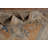 Vegetable Dye Oushak Turkish Area Rug 8