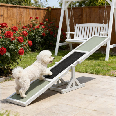 Pet Agility Seesaw,Wooden Agility Seesaw, Black+Gray