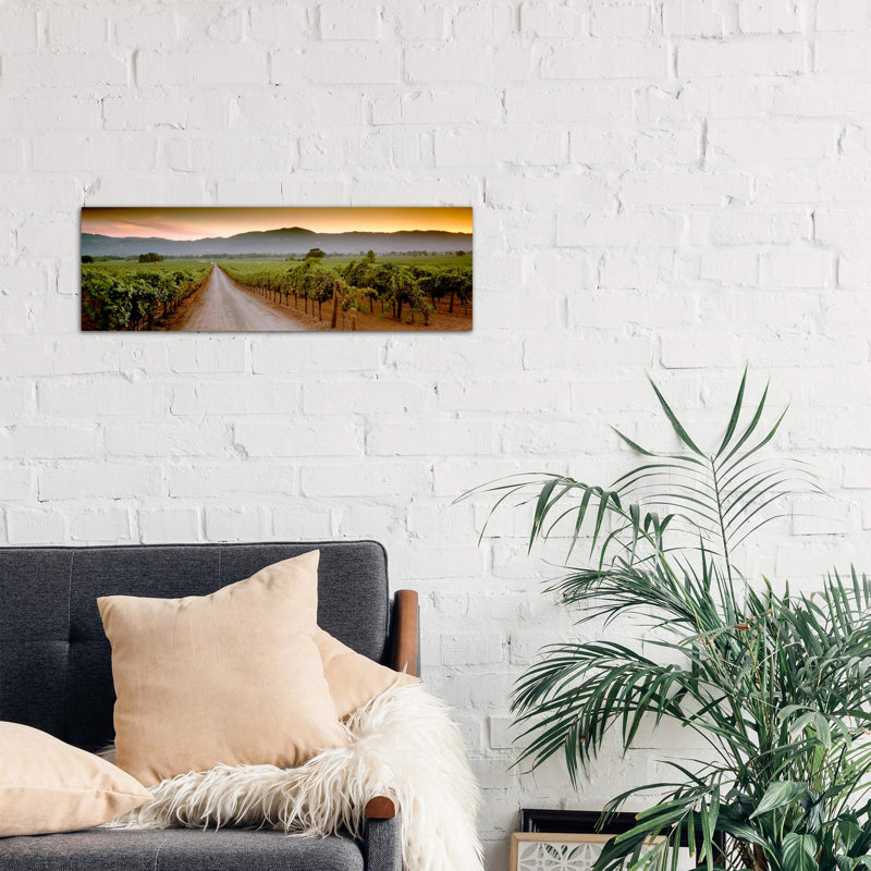 Vineyard Road, Napa Valley, California, USA 1 Piece Wrapped Canvas Panoramic Wall Art, 152.4 cm H x 50.8 cm W x 1.91 cm D