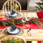 Guirlande Ace Eucalyptus avec baies rouges
