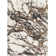 Azarcon Abstract Indoor Rug