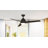 Lasalle 52'' Ceiling Fan with LED Lights-820918136