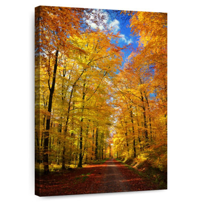 Alvord Fall Forest Lane