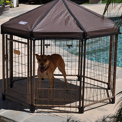 18'' H Panel Metal Yard Kennel With Door