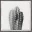 «Black and White Cacti» par Marmont Hill - Ensemble de 2 reproductions de cadres photo sur papier-163529049