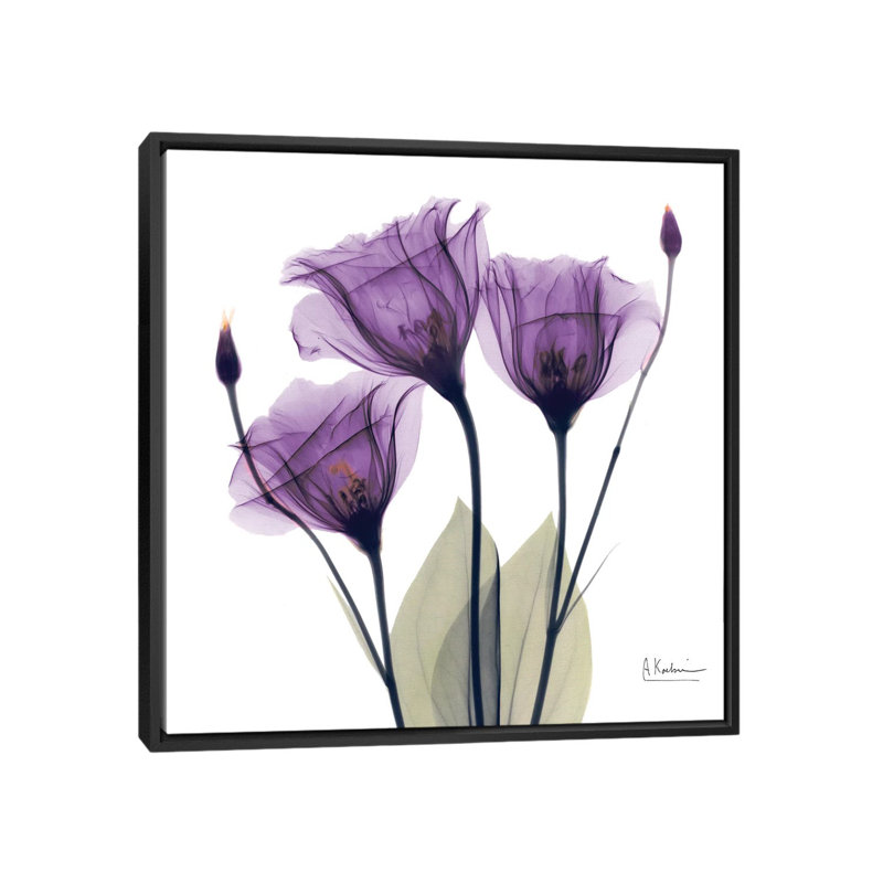 «Gentian Hope», impression sur toile, H 18 po x l 18 po x P 1,5 po, Toile avec cadre noir, Pas de tapis