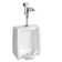 American Standard Washbrook Flowise Top Spud Urinal | Wayfair