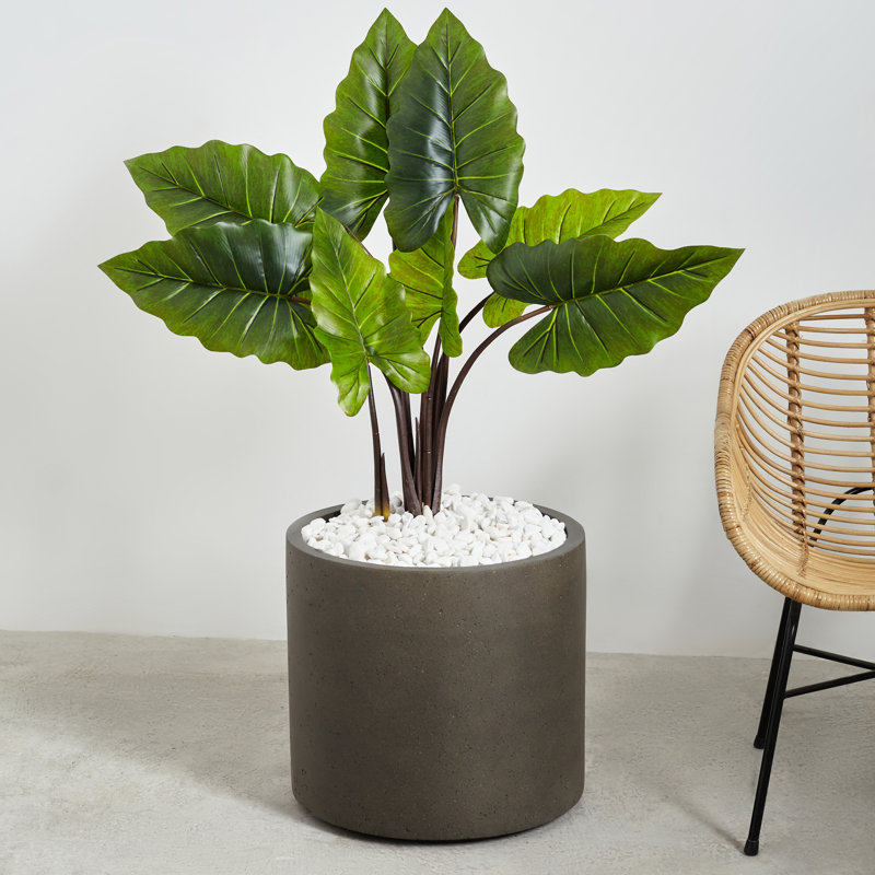 Jardinières en pot, gris, H 11,75 po x l 12,5 po x P 12,5 po