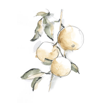 Aquarelle fruit contour II