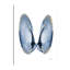 Golden Wings - impression sur toile tendue-23604792
